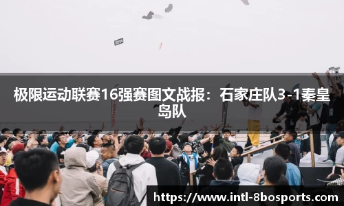 8博体育APP